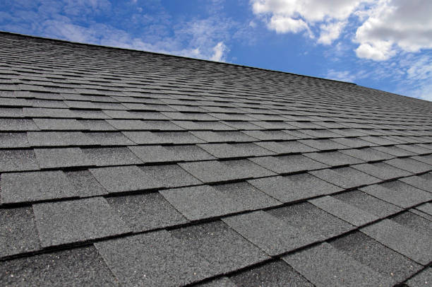 Best Roof Maintenance and Cleaning  in Crowley Lake, CA